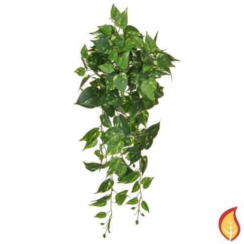 82cm Pothos Trail (Fire Resistant)