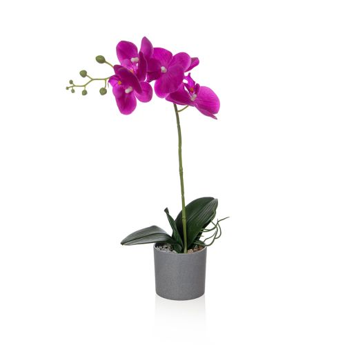 49cm Single Orchid Pink Single in Grey Pot