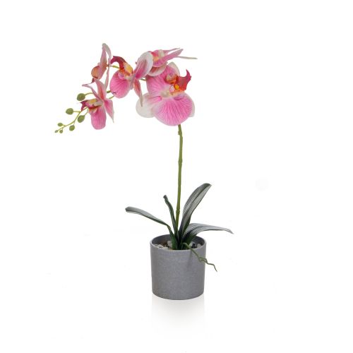 49cm Orchid Pink Single in Grey Pot