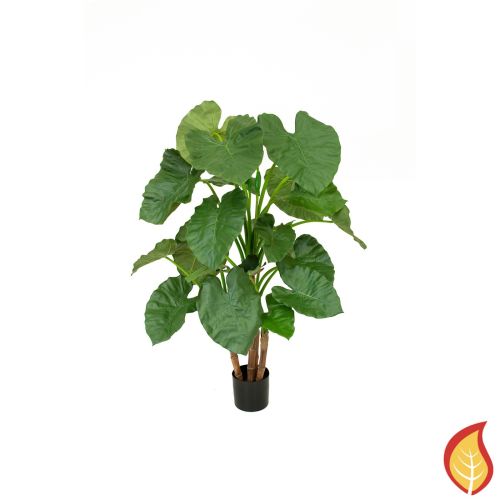 4ft (120cm) Alocasia Tree (Fire Resistant)