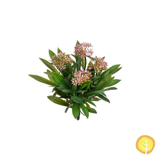 25cm Plants Pink Flowering Plant (UV Resistant)
