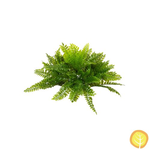 23cm Plants Boston Fern (UV Resistant)
