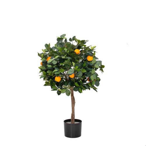 3ft (90cm) Orange Tree with Fruit