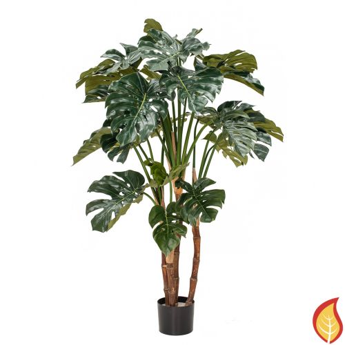 4.5ft (140cm) Monstera (Fire Resistant)