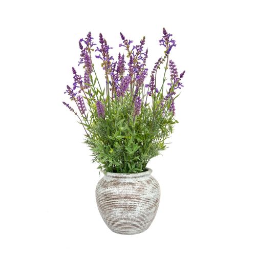 63cm Lavender Grass Mix in Pot