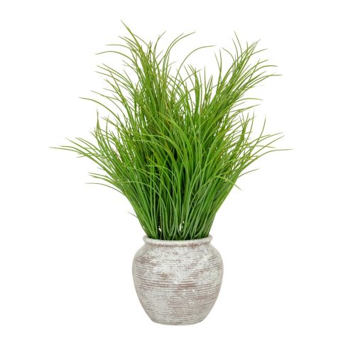 62cm Grass in Pot