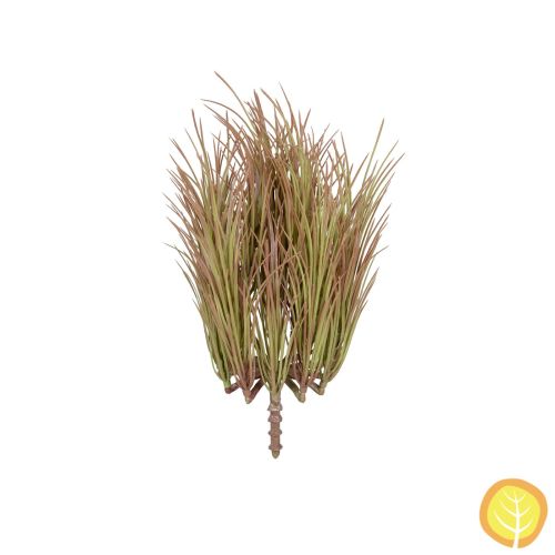 30cm Plants Acorus (UV Resistant)