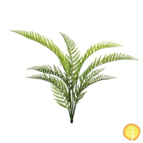 82cm Plants Woodwardia Fern (UV Protected)