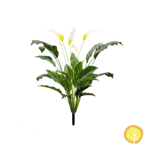 3ft (90cm) Plants Spathiphyllum (UV Protected)