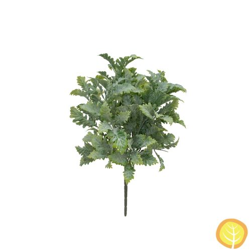 33cm Plants Jacobaea Maritima Frosted Green (UV Protected)