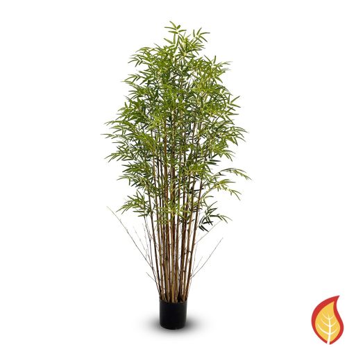 6ft (180cm) Bamboo (Fire Resistant)