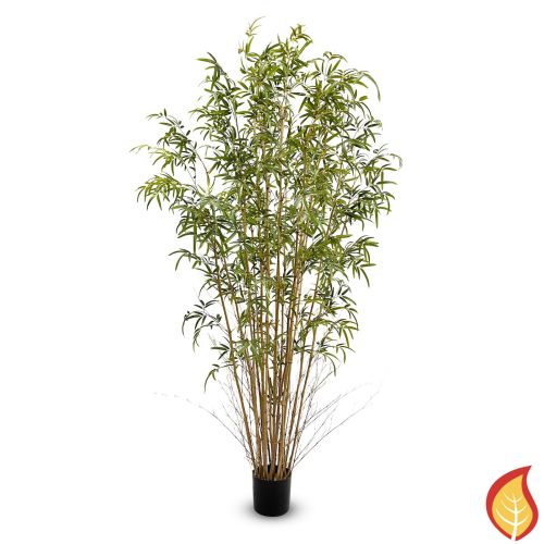7ft (210cm) Bamboo (Fire Resistant)