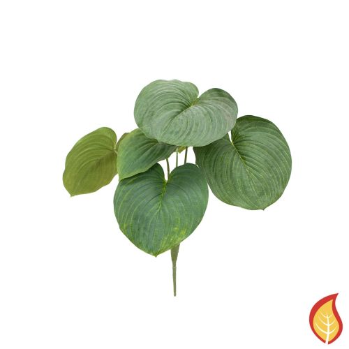 65cm Plants Giant Hosta Green (Fire Resistant)