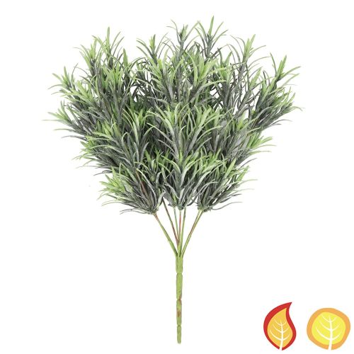 42cm Plants Podocarpus Grey (Fire Resistant & UV Protected)
