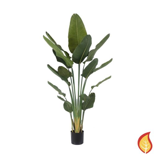 6ft (180cm) Palm Traveller (Fire Resistant)