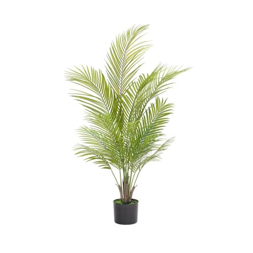 4ft (120cm) Palm Areca