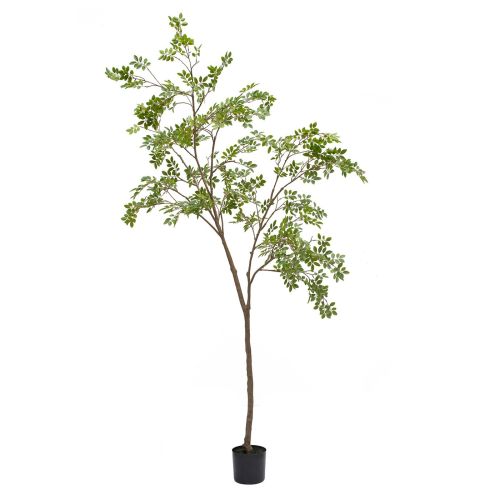 8ft (240cm) Elm Tree Green