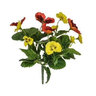 Flowering Pansy Bush – Orange & Yellow