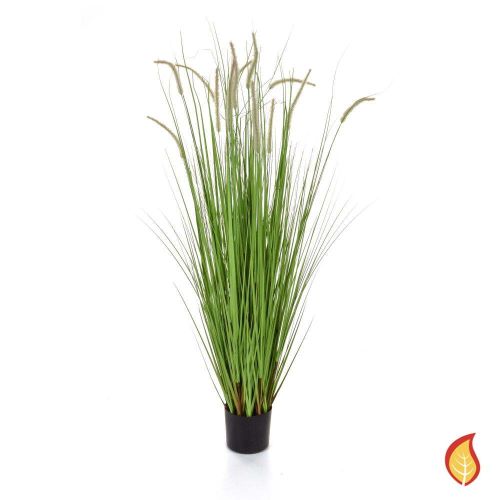 150cm Dogtail Grass D with Pot (Fire Resistant)