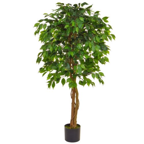 150cm Ficus Contract - Green