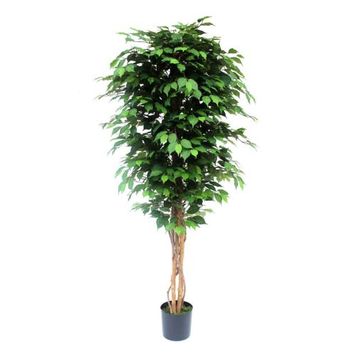 5ft (150cm) Green Ficus (NTT) Artificial Tree