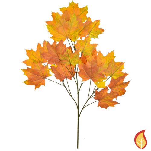 80cm Foliage Maple North American Red (Fire Resistant)