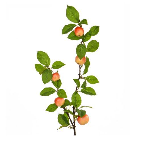 109cm (3.5ft) Apple Foliage with Yellow/Red Fruit