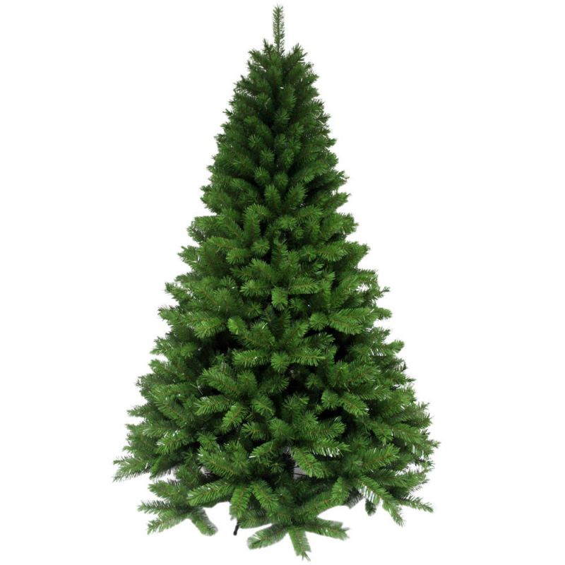 7Ft (210cm) Robson Pine