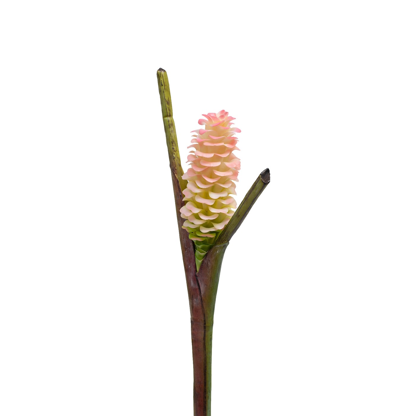 80cm Tropical Kalanhoe Foliage Orange