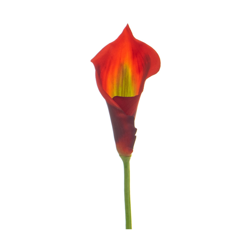 68cm (2.2ft) Large Lily Calla - Orange