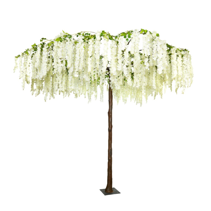 290cm (10ft) MultiBranch Umbrella Wisteria Tree