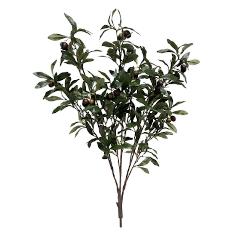 85cm MultiBranch Olive Branch
