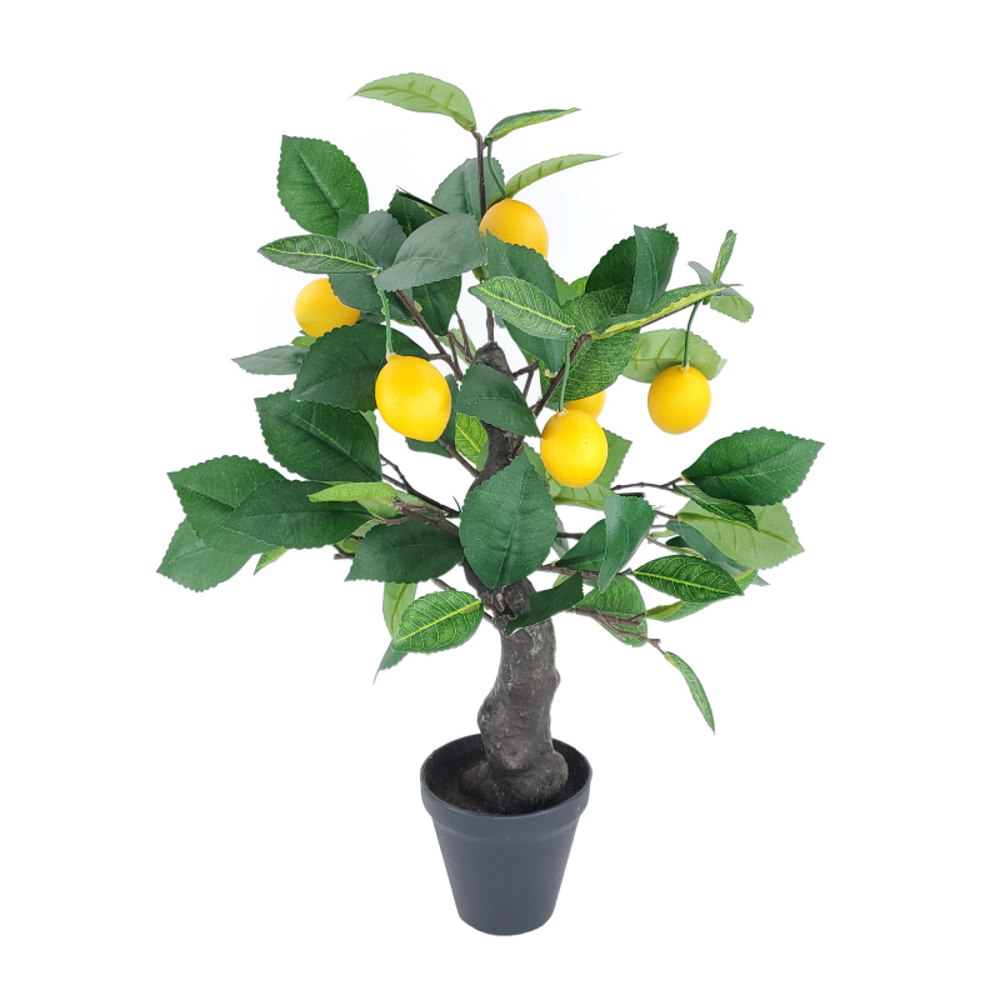 55cm Lemon in Pot