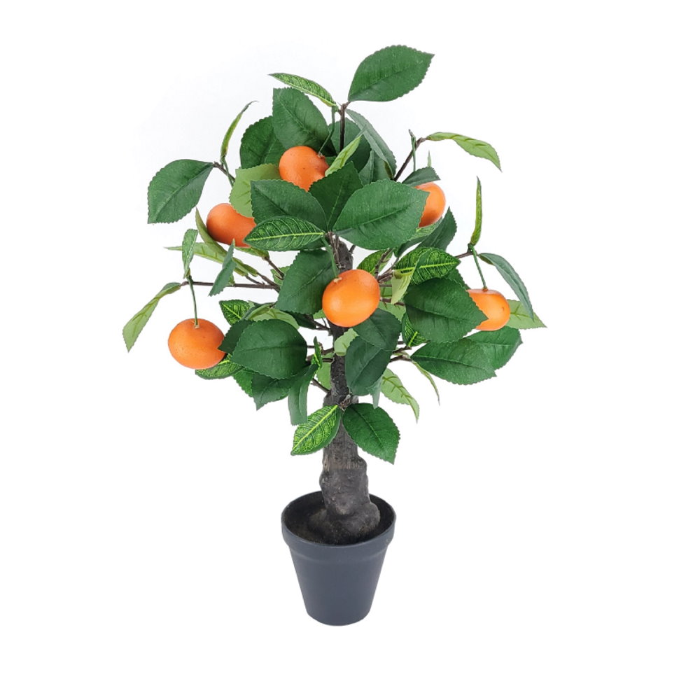 55cm Orange Tree in Pot