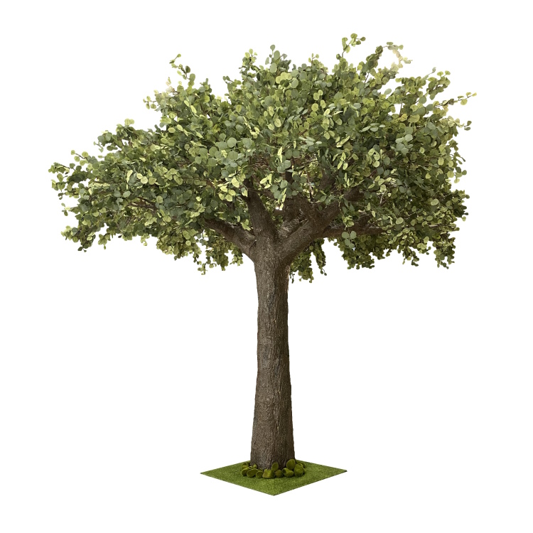 330cm x 250cm MultiBranch Simple Trunk