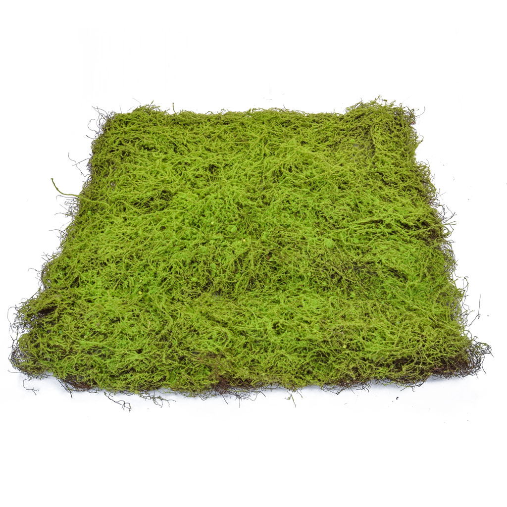 90cm x 90cm Topiary Moss Pad - Green