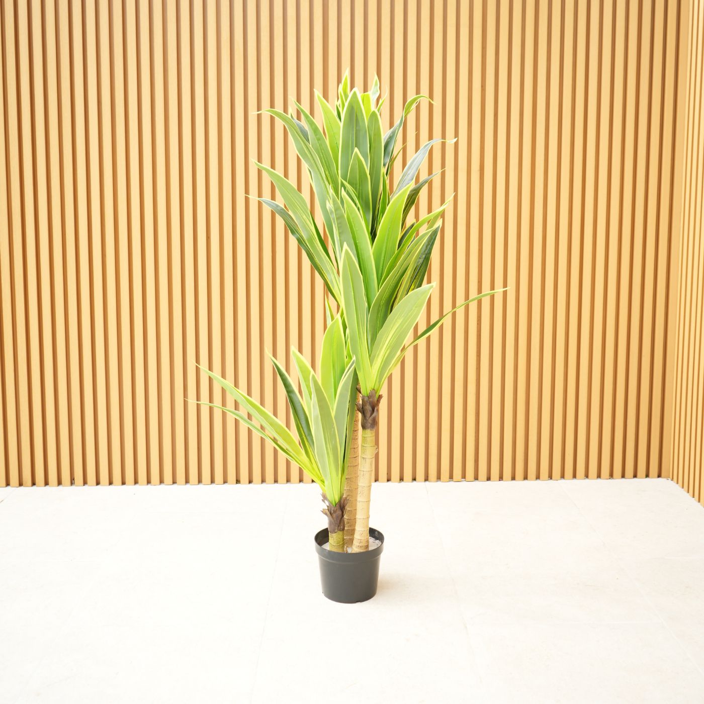 5.5ft (160cm) 3 Stem Artificial Dracaena Tree