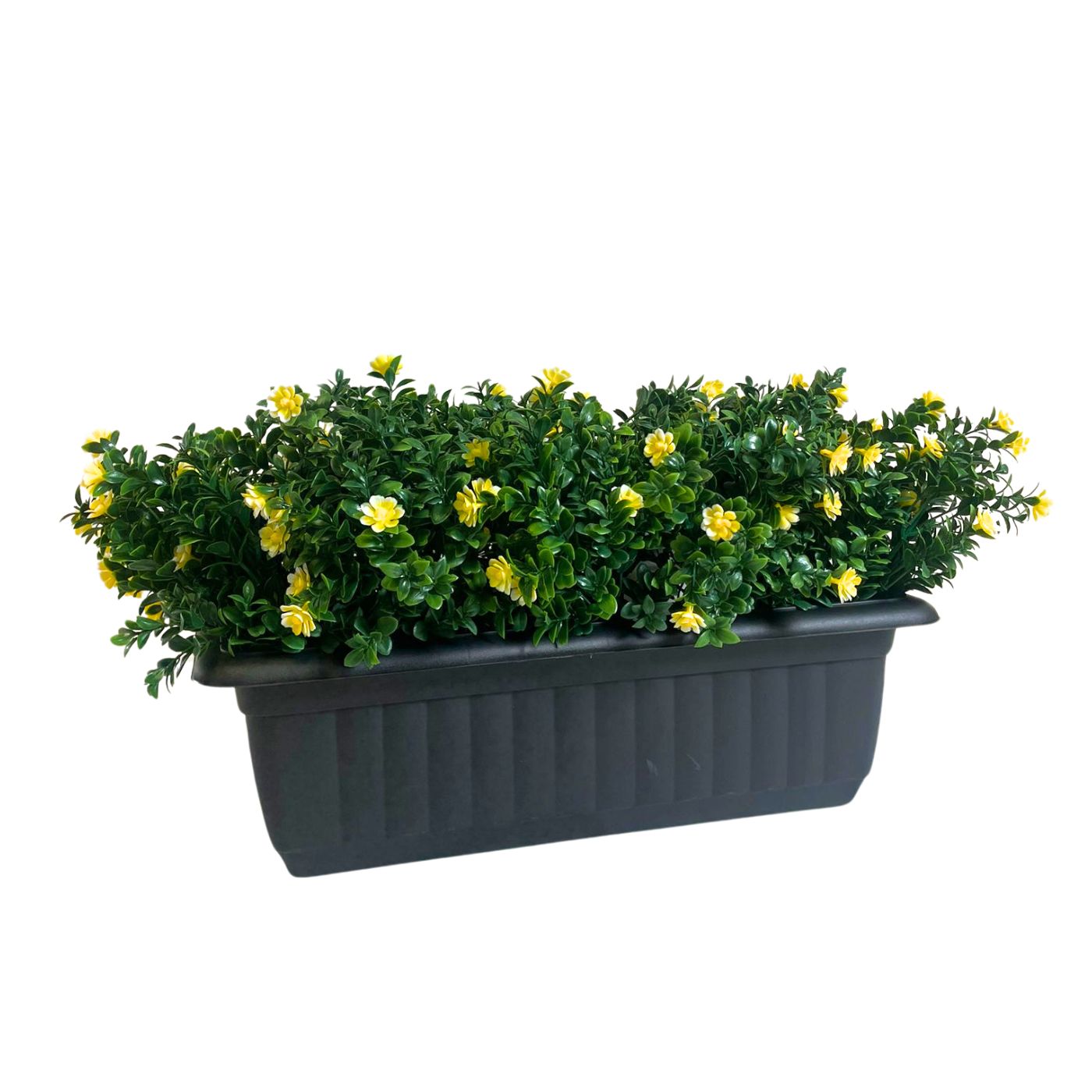 53cm Outdoor Living Yellow Jasmine Window Box