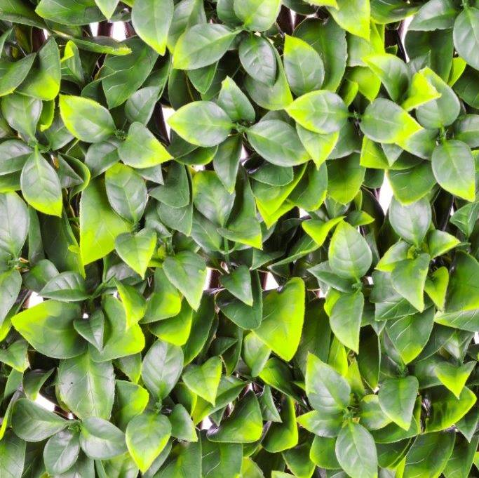 100cm x 200cm Orange Leaf Trellis