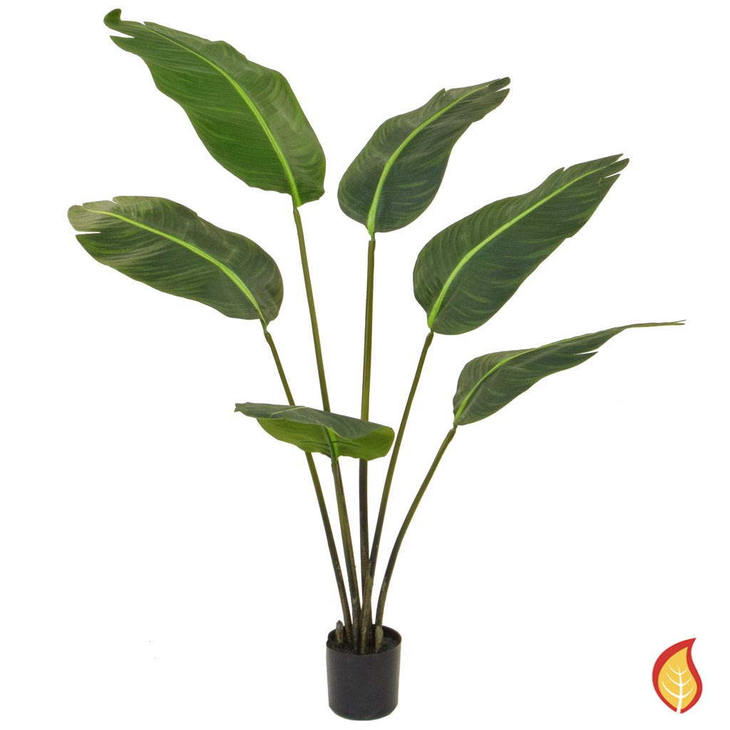 4ft 120cm Plants Bird of Paradise (Fire Resistant)
