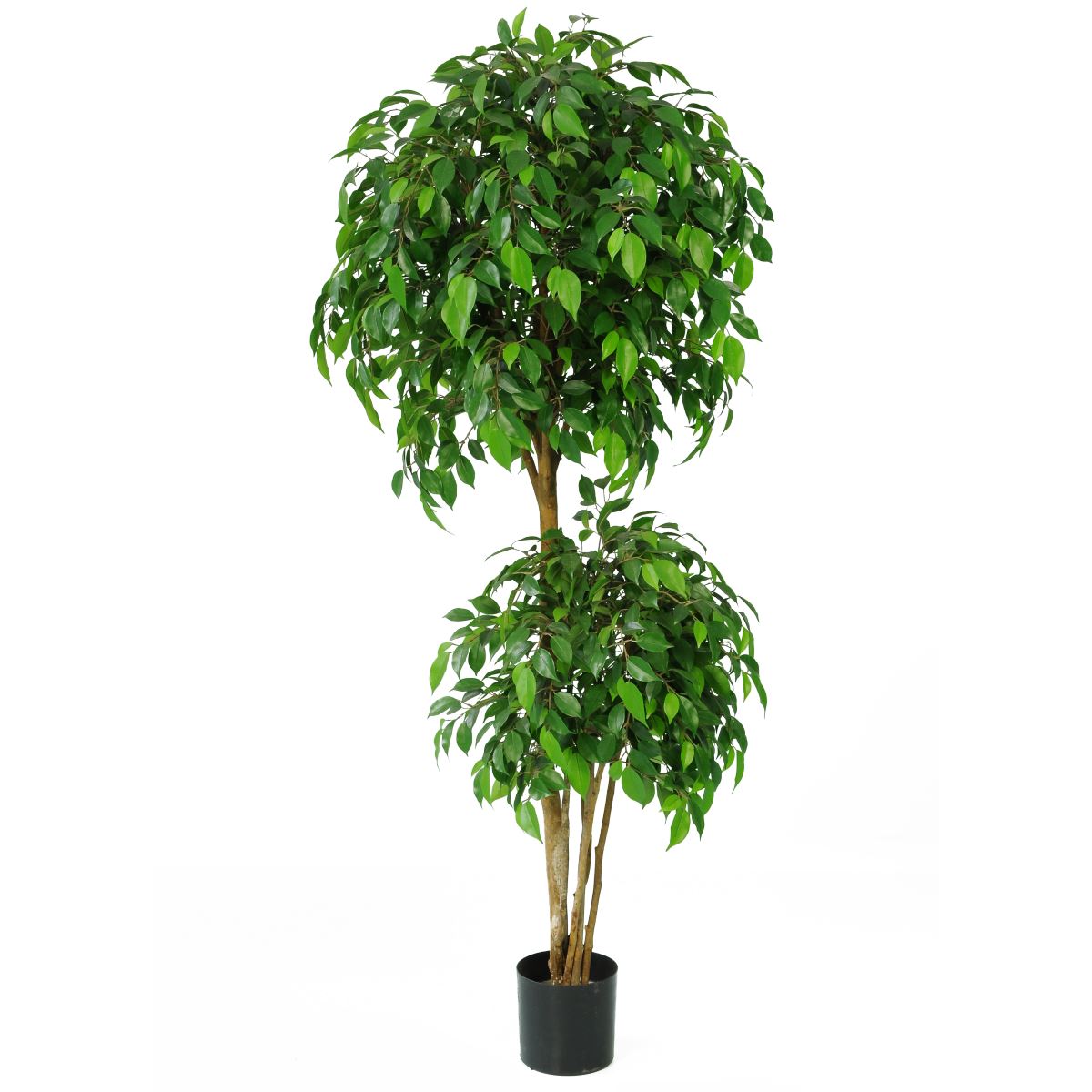 5ft (150cm) "Natasha Tropical" Ficus Artificial Tree