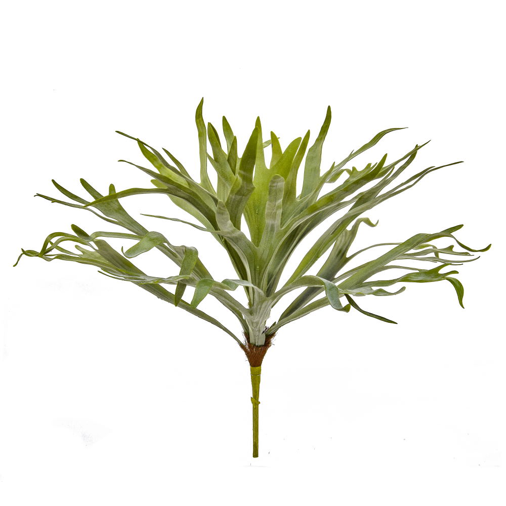 65cm Staghorn Fern - Green