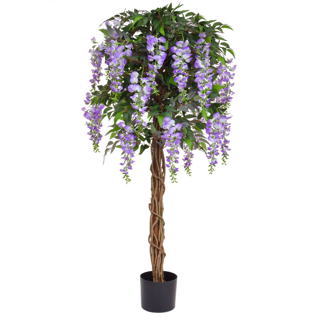 Flowering Wisteria in Purple (150cm)
