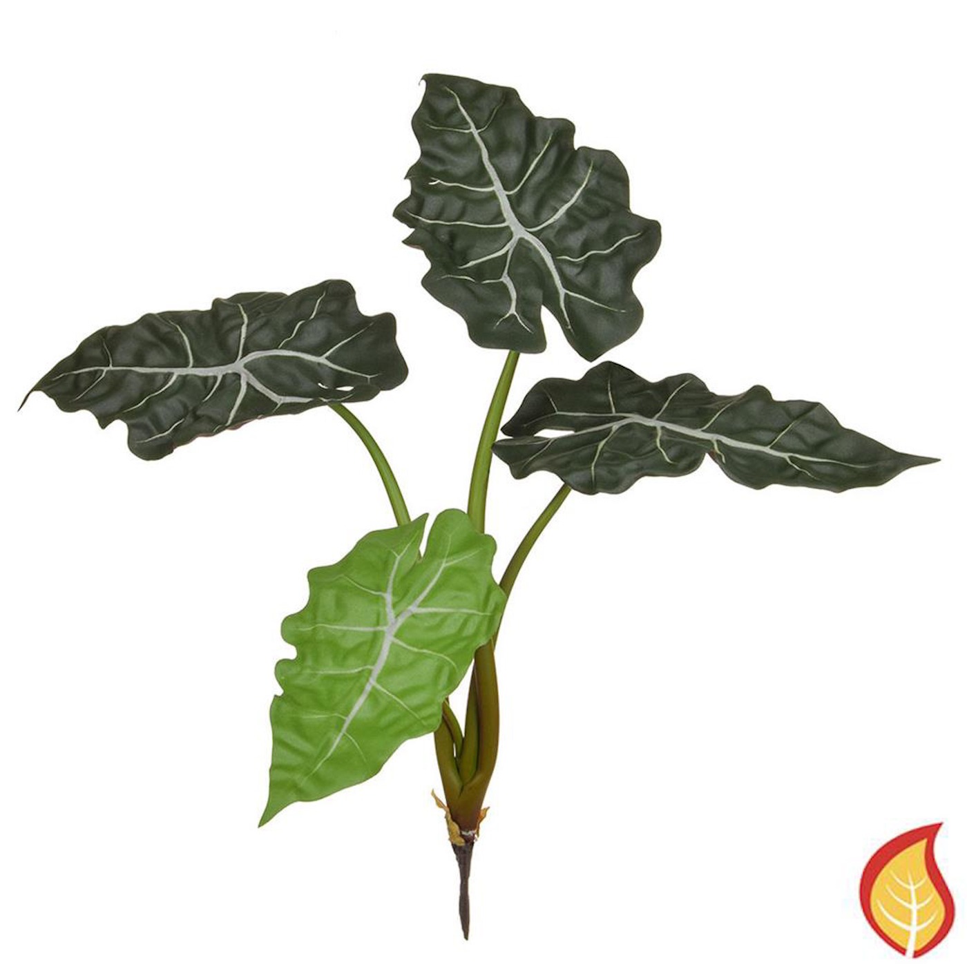 49cm Plants Base Alocasia Bush (Fire Resistant)