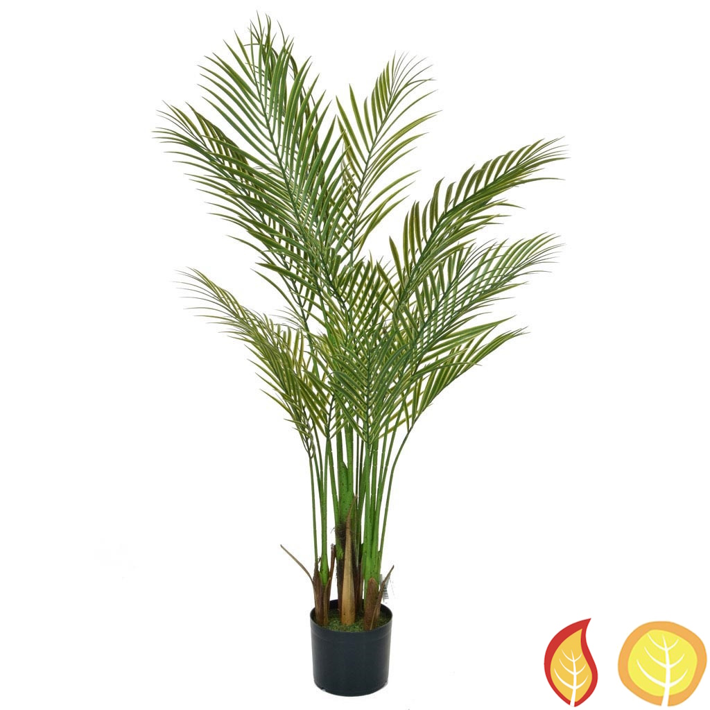 5ft (150cm) Palm Areca (Fire Resistant & UV Protected)