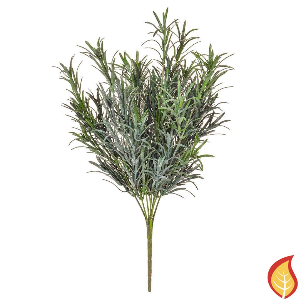 20cm Podocarpus Grey (Fire Resistant)