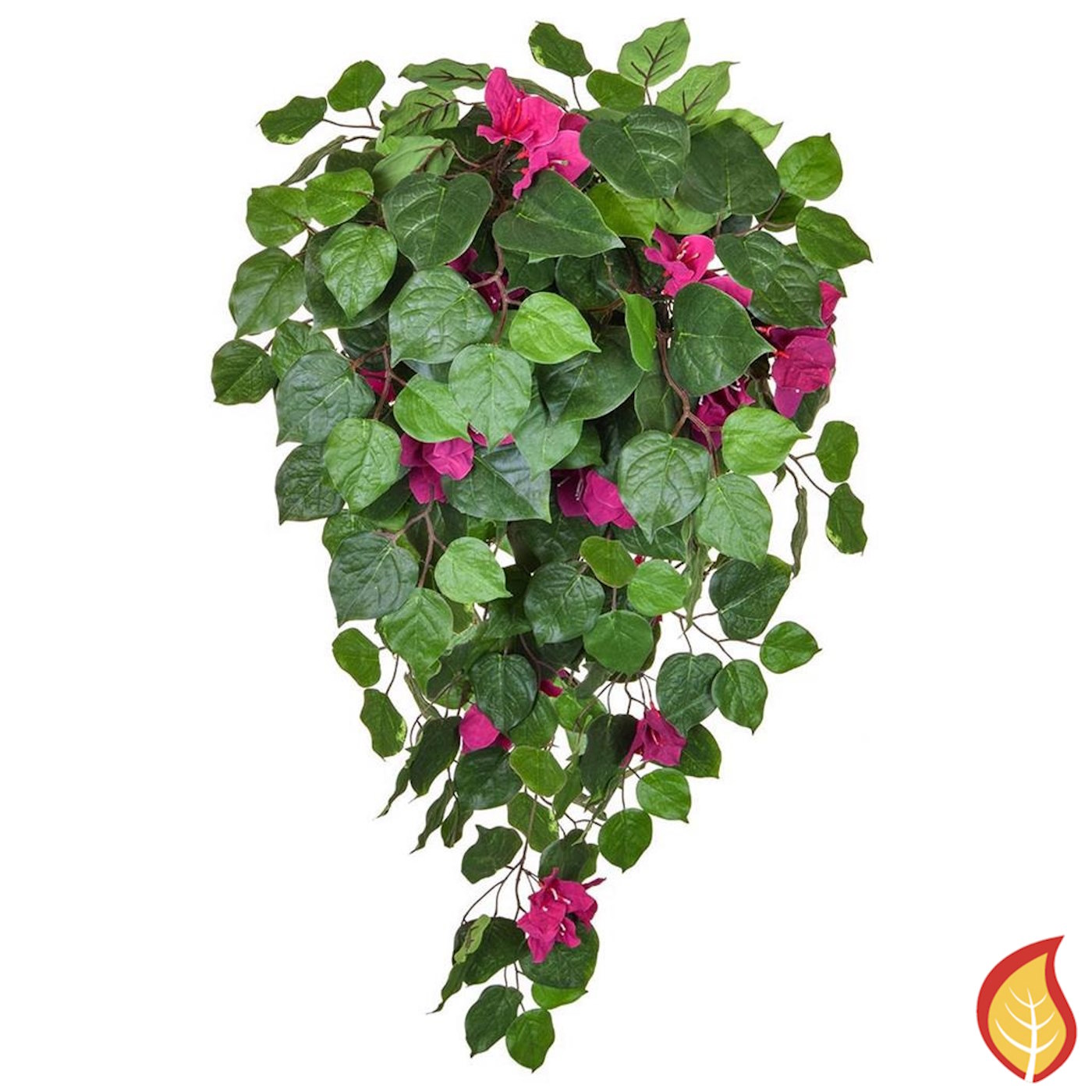 100cm Pink and Green Bougainvillea (Fire Resistant)