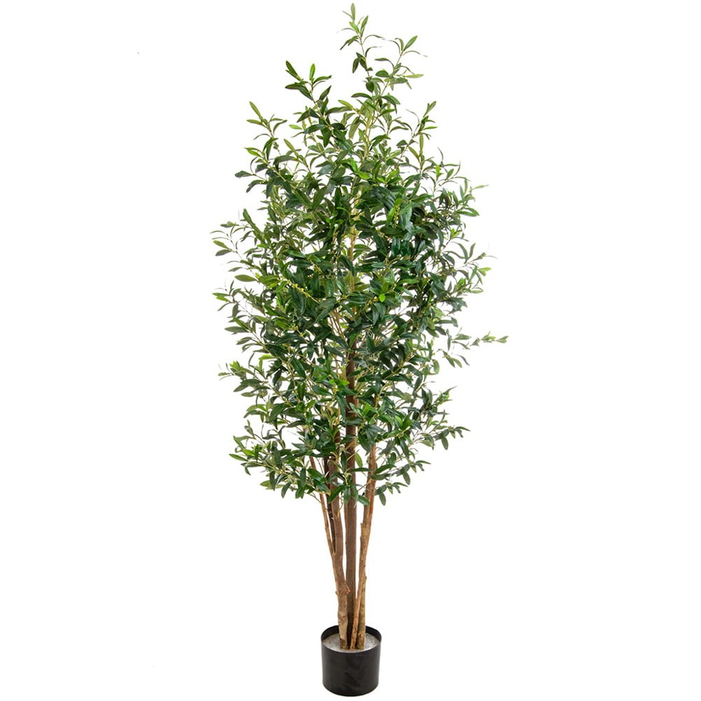 6ft (180cm) Natural Tree Trunk Olive - Green
