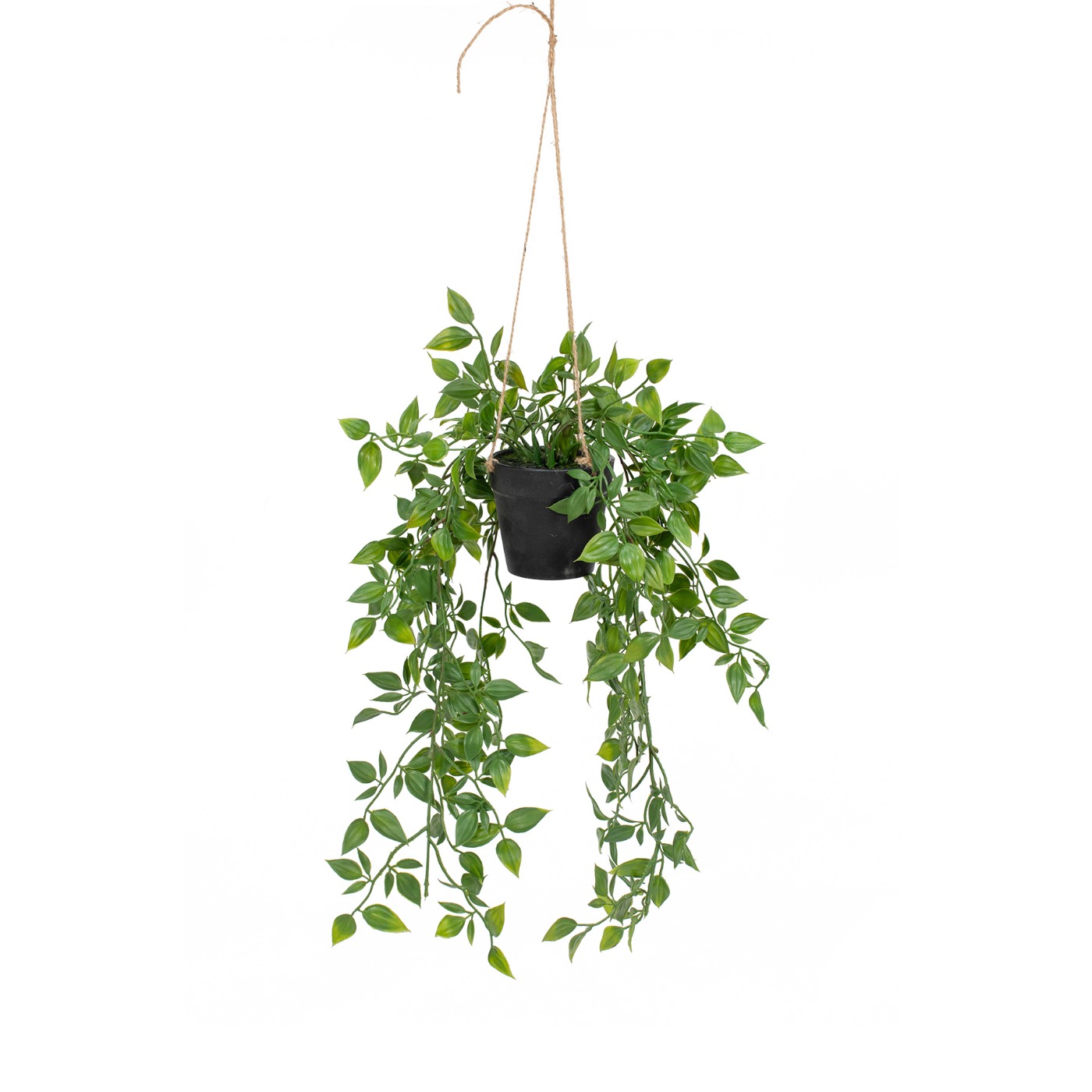47cm Trailing Plant in Pot
