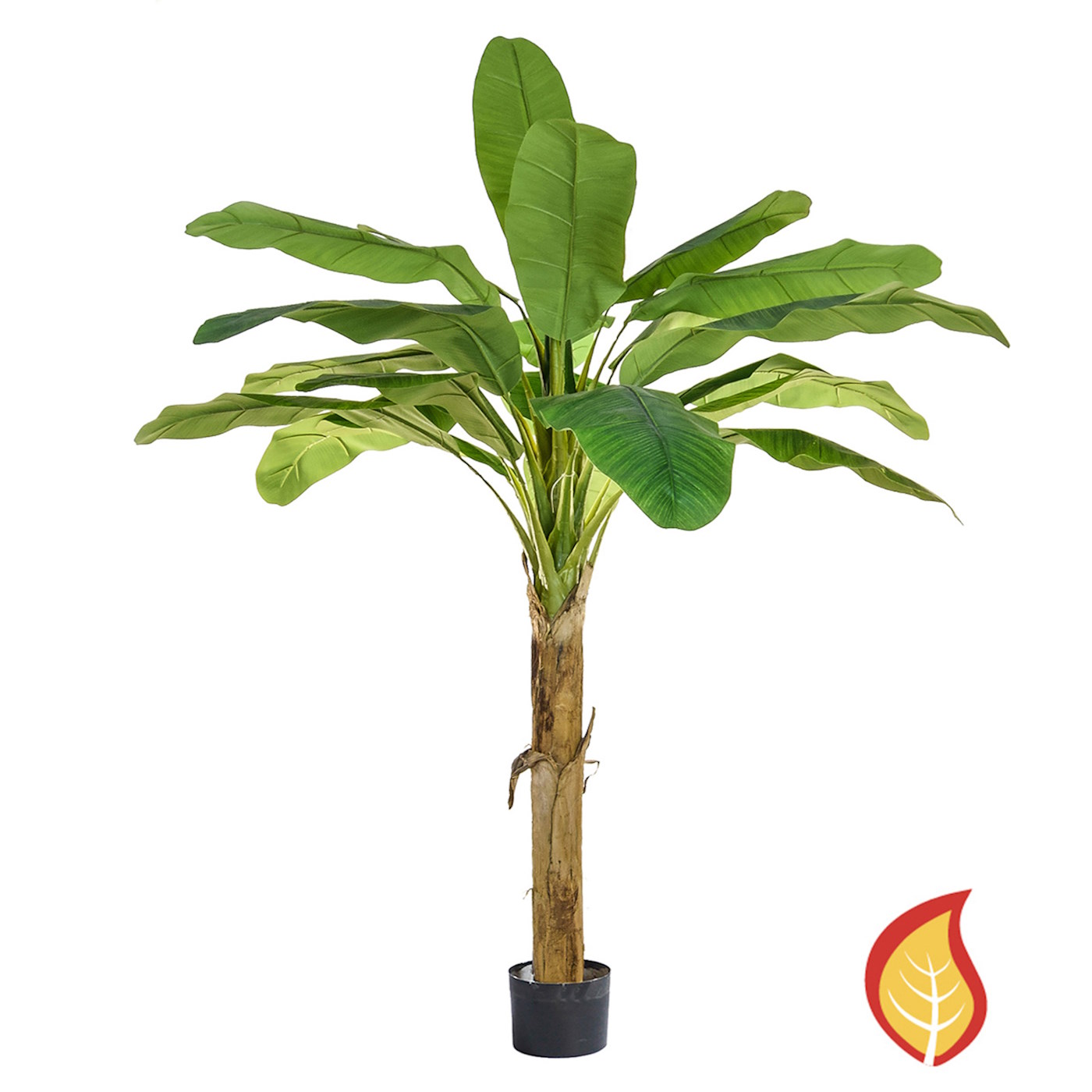 180cm Palm Banana (Fire Resistant)
